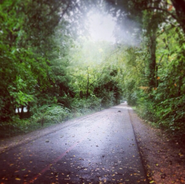 Rainy Monon Trail