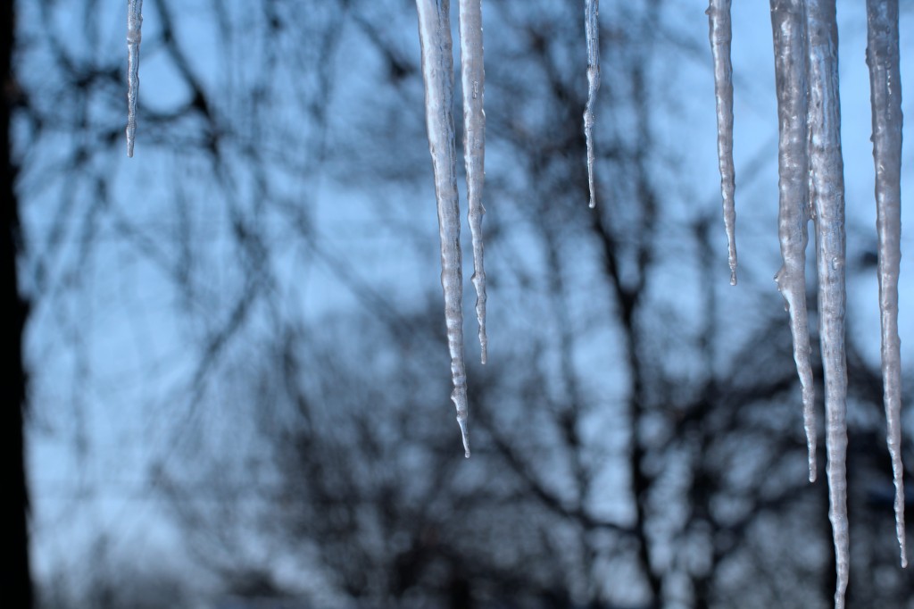 icicles