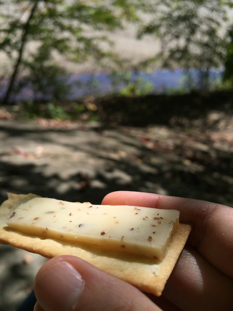 Picnic at Turkey Run