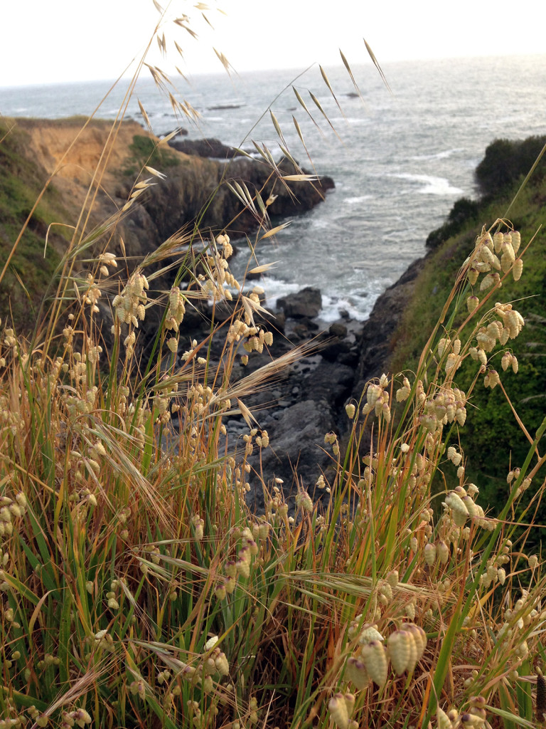 Surrounded by the sea.